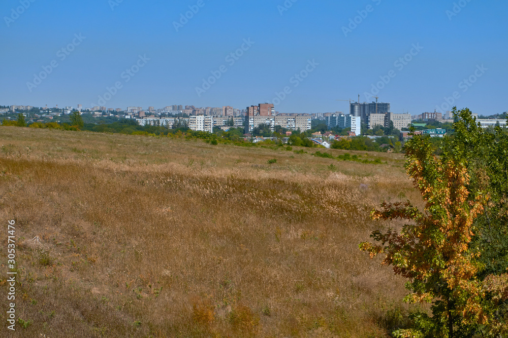 panorama of the big city with high brick houses on the edge of the forest on a summer day