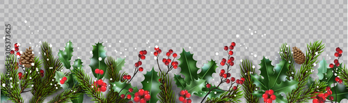 Isolated winter Christmas nature banner