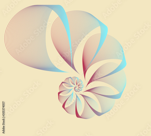 wired veils nautilus ivory blue red