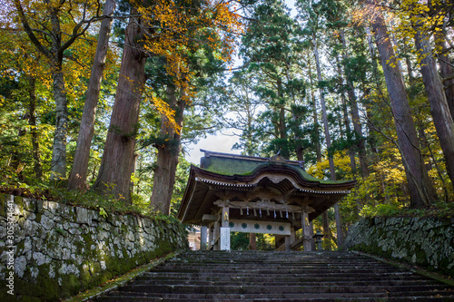 大神山神社神門（鳥取県大山） © Nature Land