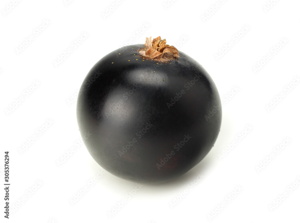 single black currant isolated on white background. macro single black currant isolated on white background. macro