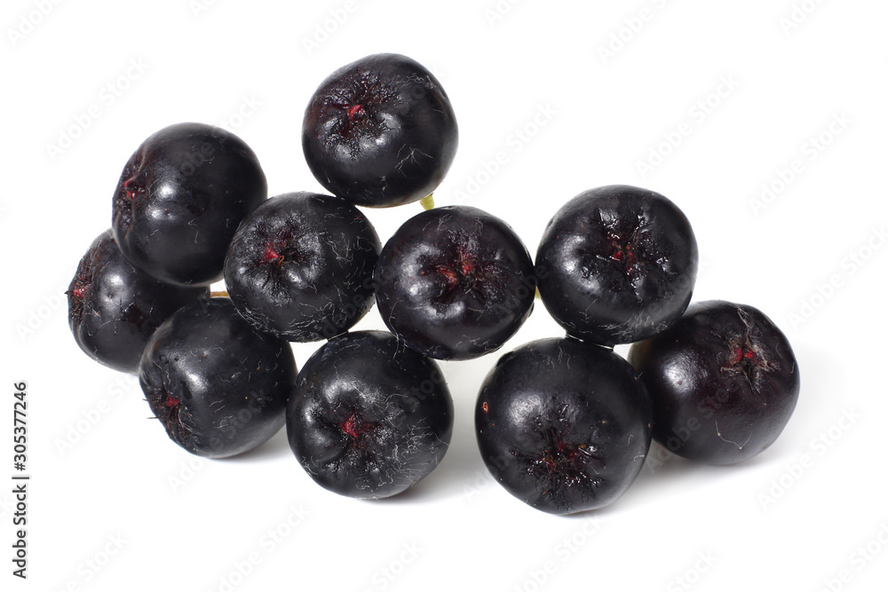 Chokeberry isolated on white background. Black aronia Chokeberry isolated on white background. Black aronia