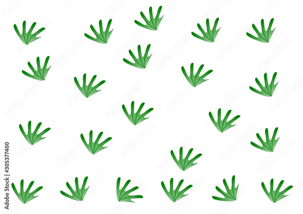 green leaf isolated on white background green leaf isolated on white background