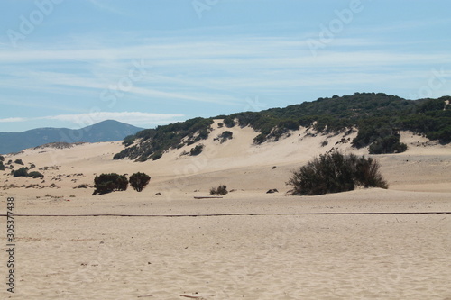 dune2