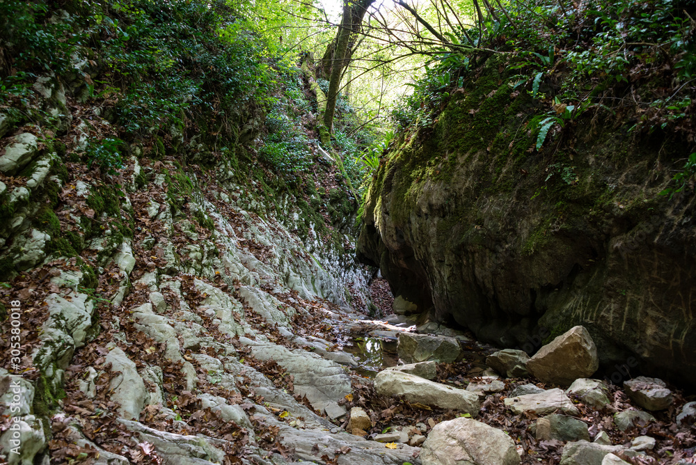 Crab gorge near Lazarevskoye, Sochi, Russia. 3 November 2019 Crab gorge near Lazarevskoye, Sochi, Russia. 3 November 2019