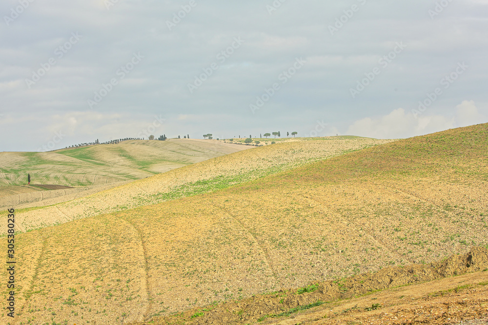  landscape of hills tuscany in autumn in Italy