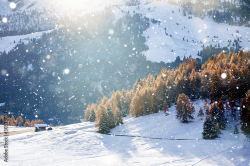 Beautiful Winter at Alpe di Siusi, Seiser Alm - Italy - Holiday background for Christmas. 