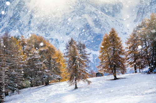 Beautiful Winter at Alpe di Siusi, Seiser Alm - Italy - Holiday background for Christmas. 