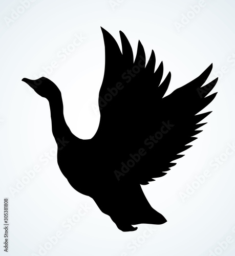 Goose in flight. Vector drawing