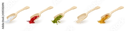 Set of wooden scoops with red, green, yellow spices, seasonings indian mixture with anis stars, sesame, coriander, fenugreek seeds, cardamom, saffron, salt. Vector collection isolated on white.