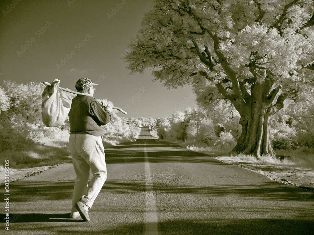 Fototapeta premium infrared