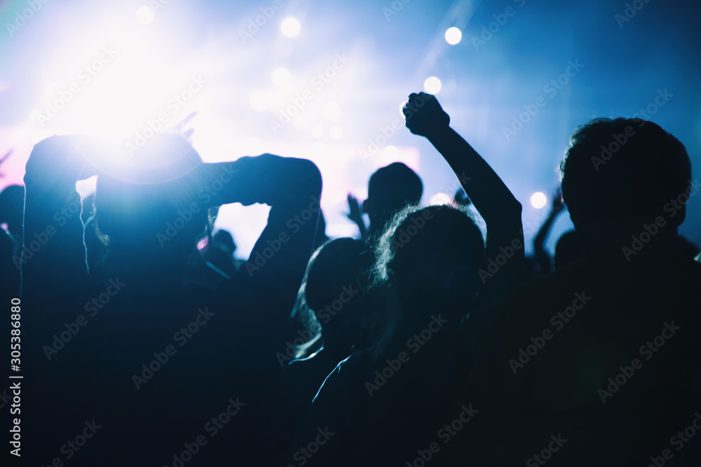 Silhouette of the crowd at a rock concert.
