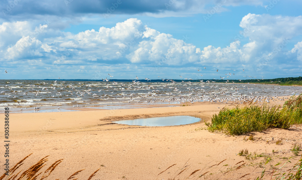 Lake Peipus coastline. Estonia, EU Lake Peipus coastline. Estonia, EU