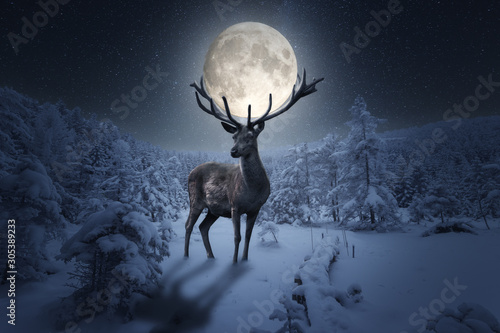 Großer märchenhafter Hirsch steht in einer Winterlandschaft. Das Geweih hält einen großen Vollmond in einer Sternen Nacht photo