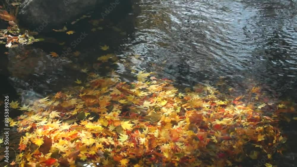 マゼノ渓谷の紅葉 マゼノ渓谷の紅葉