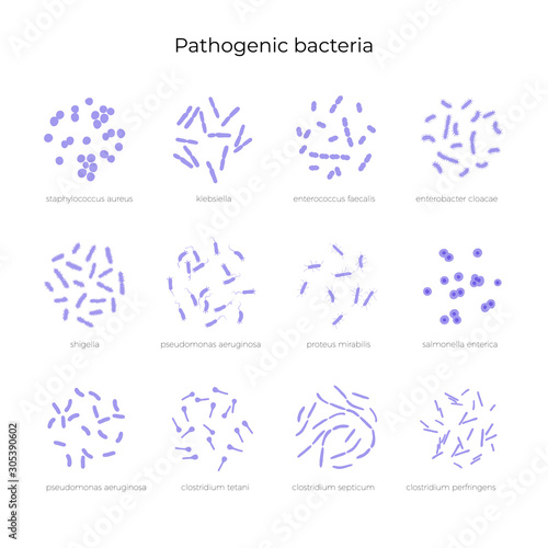 Vector illustration of pathogenic bacteria 