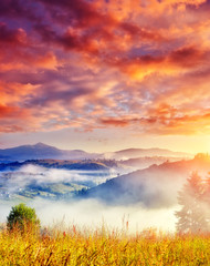 Leinwandbilder Honigfarbe Amazing mountain landscape  © Leonid Tit