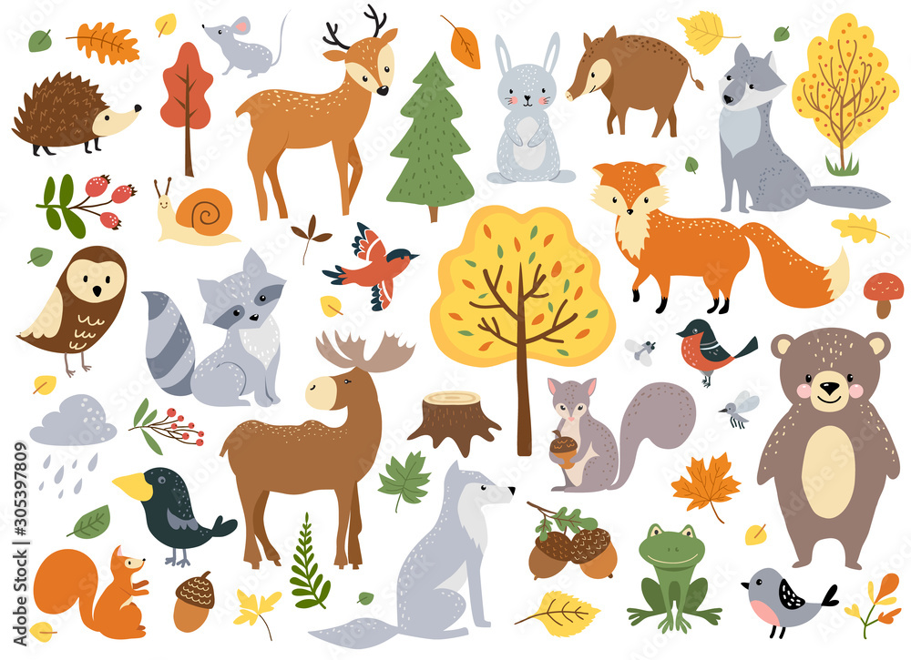 Woodland animals set, cute fox, bear, wolf, rabbit and birds. Perfect ...