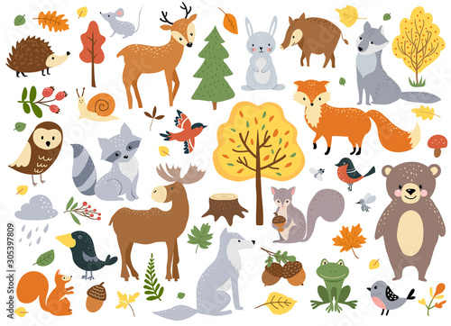 Woodland animals set, cute fox, bear, wolf, rabbit and birds. Perfect for scrapbooking, cards, poster, tag, sticker kit. Hand drawn vector illustration. © Colorlife