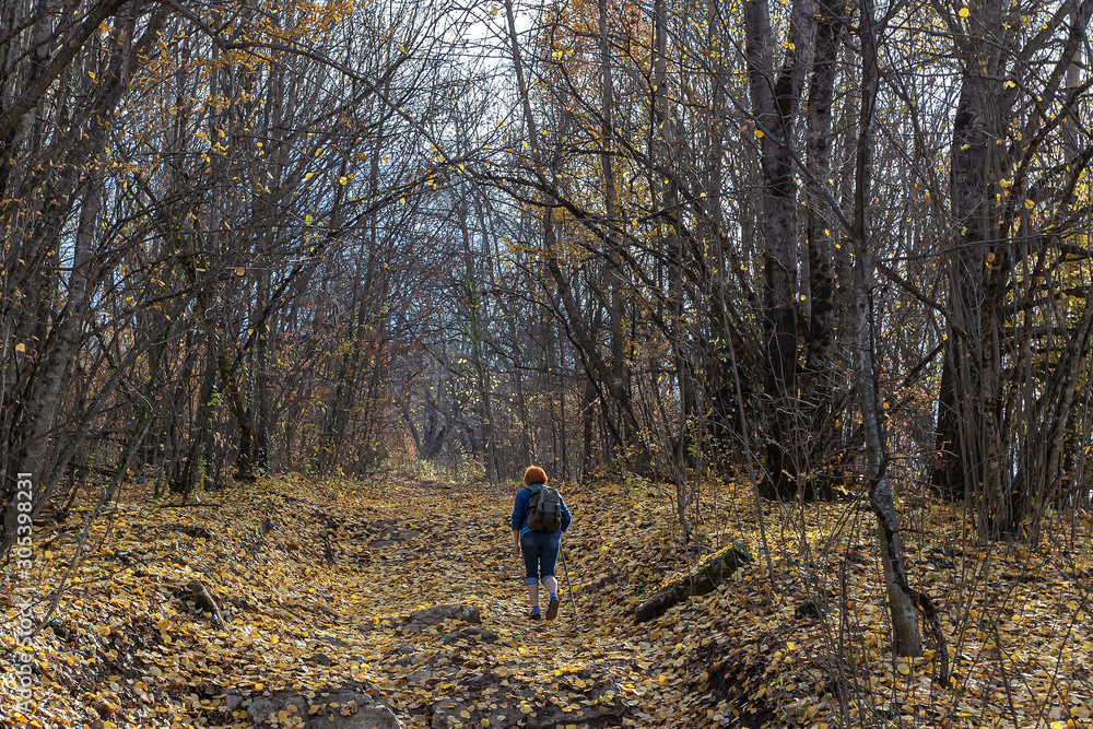 Autumn in the mountains, photographers traveling through the woods and mountains. Autumn in the mountains, photographers traveling through the woods and mountains.