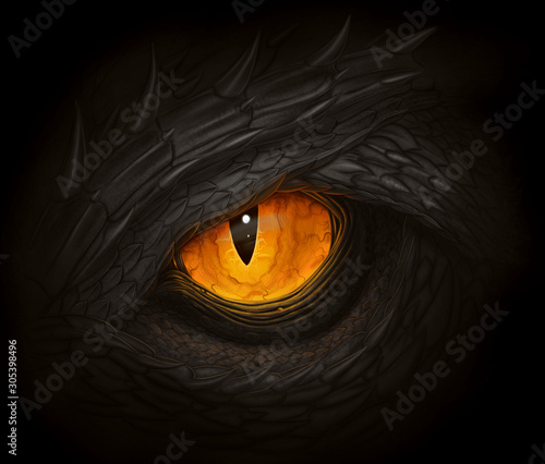 Black dragon eye