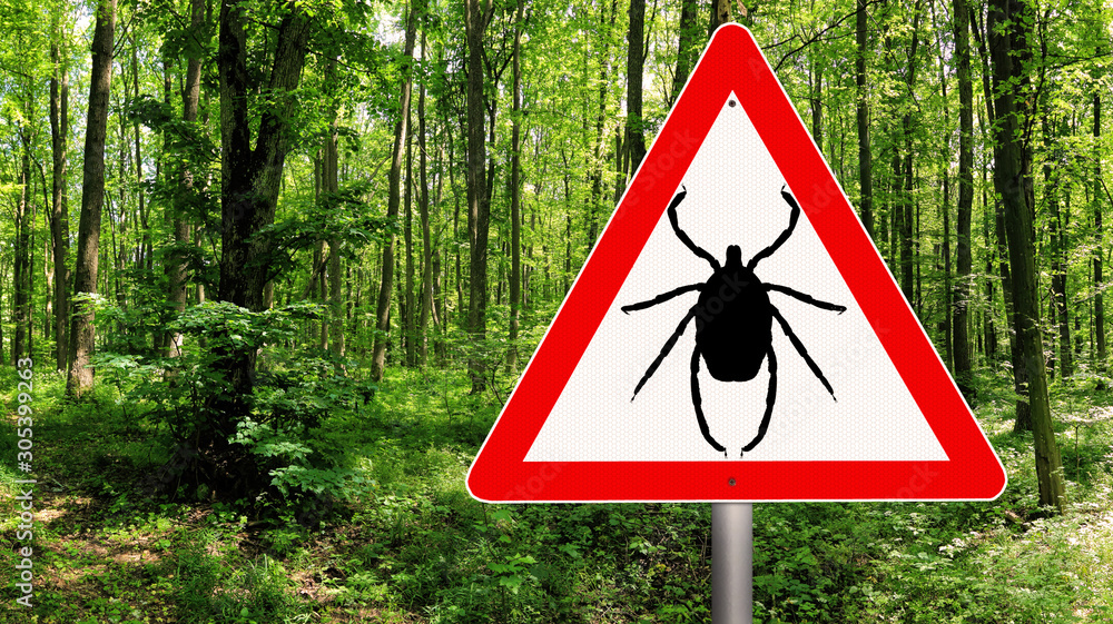 Tick insect warning sign in nature forest. Lyme disease and tick-borne ...