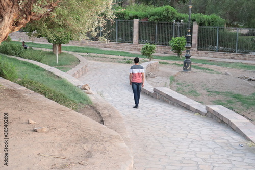 people walking in the park