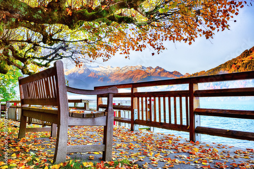 Spectacular autumn view of lake and trees in city park of Sell Am See photo