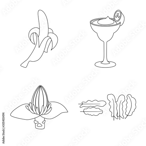 Isolated object of organic and potassium icon. Set of organic and diet vector icon for stock. © Svitlana
