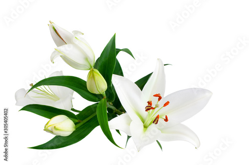 White lily flowers and buds with green leaves on white background isolated close Fototapet
