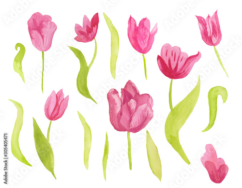 A set of cute pink watercolor tulips with leaves. Clipart collection of botanical spring flowers on white isolated background hand drawn. Design for weddings, gift cards, textiles and stickers.