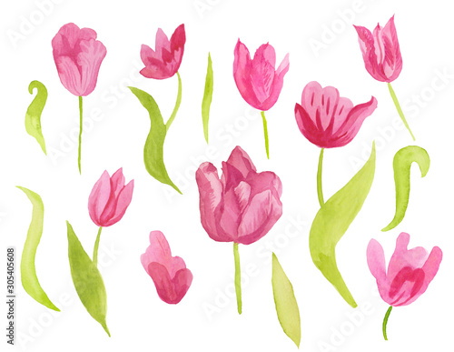 A set of cute pink watercolor tulips with leaves. Clipart collection of botanical spring flowers on white isolated background hand drawn. Design for weddings  gift cards  textiles and stickers.
