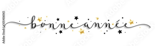 Calligraphie vecteur BONNE ANNEE 2020 avec étoiles