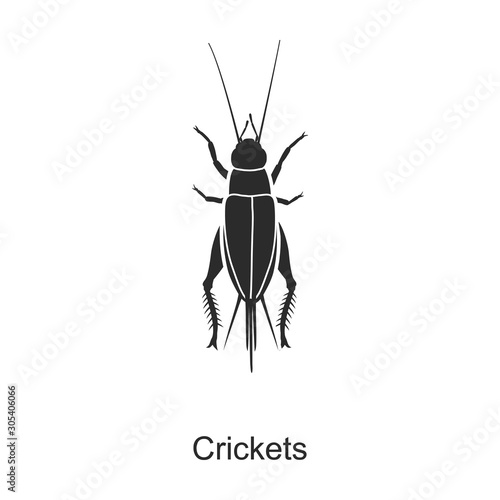 Insect cricket vector icon.Black vector icon isolated on white background insect cricket .