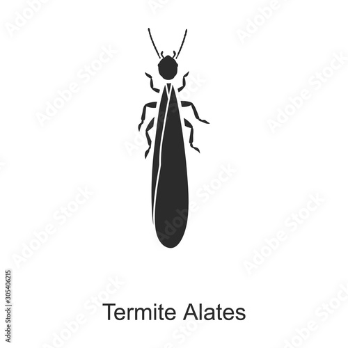 Alates termite, vector icon.Black vector logo isolated on white background alates termite .