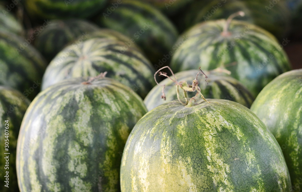 Water Melons Water Melons