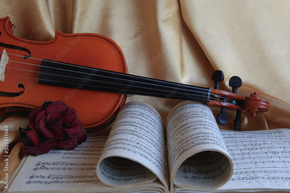 Fototapeta premium Older the fiddle, the sweeter is sound