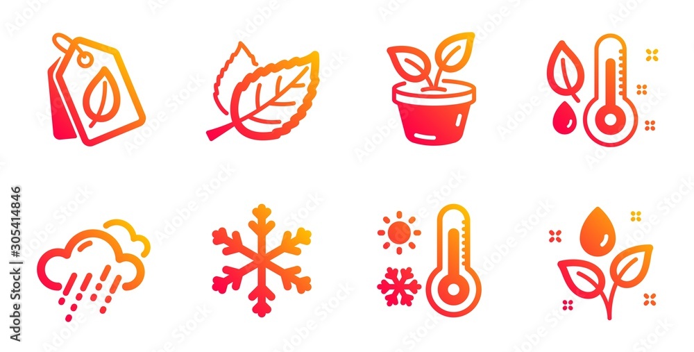 Snowflake, Bio tags and Thermometer line icons set. Rainy weather, Leaves and Leaf signs. Weather thermometer, Plants watering symbols. Snow, Leaf. Nature set. Gradient snowflake icons set. Vector