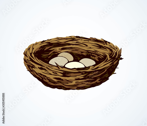 Nest. Vector drawing