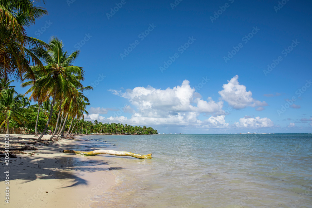 Punta Cana 