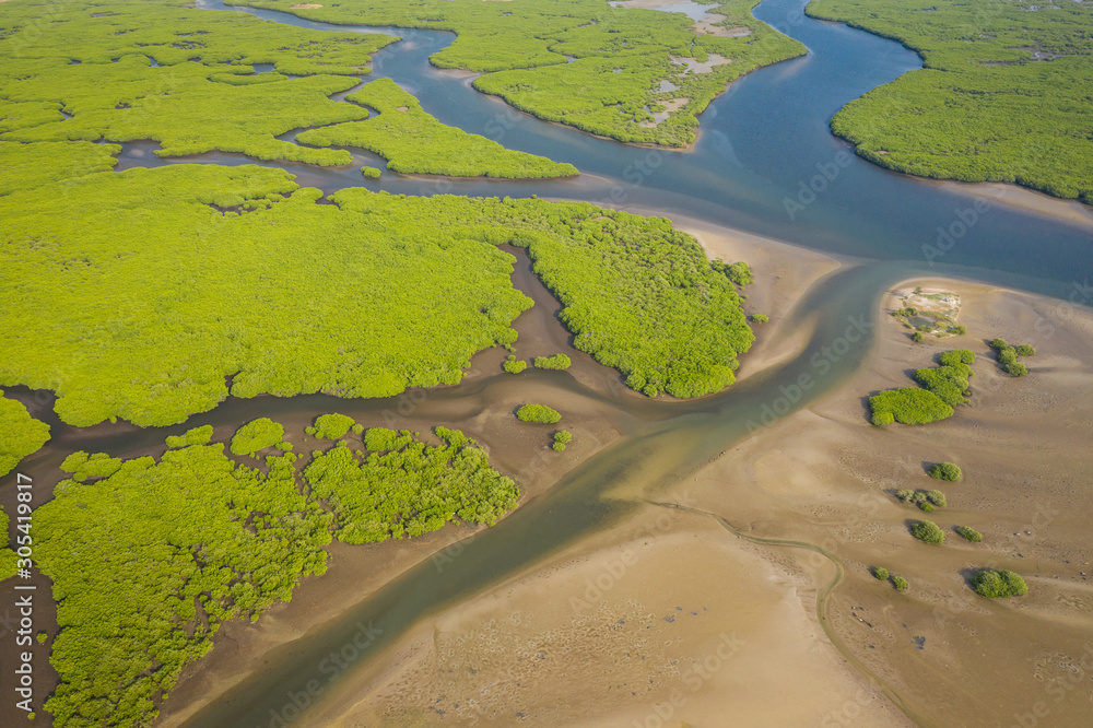 Aerial view of mangrove forest in the  Saloum Delta National Park, Joal Fadiout, Senegal. Photo made by drone from above. Africa Natural Landscape.