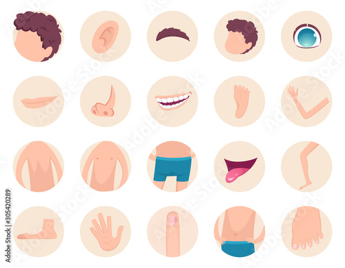 Body parts. Human anatomy head legs fingers nose hands back belly vector fragments collection. Back and head human, foot and hand illustration