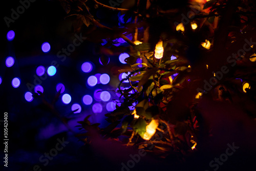 christmas tree with lights on black background