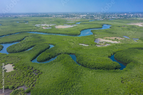 Aerial view of mangrove forest in Gambia. Photo made by drone from above. Africa Natural Landscape.