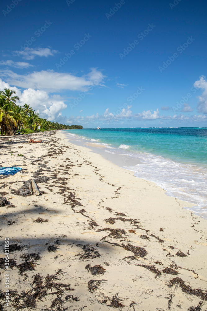 Punta Cana Punta Cana