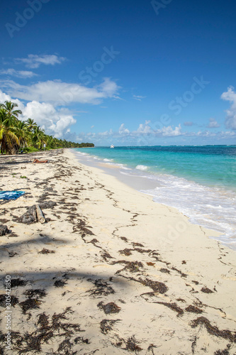 Fototapeta Naklejka Na Ścianę i Meble -  Punta Cana