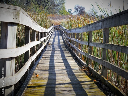 Shadows on the Boardwalk