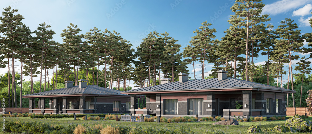 Obraz premium Woodland townhouse village / gated community, 3d rendering