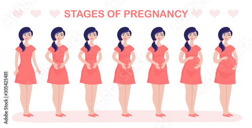 Women pregnancy stages and fetus development isolated on white, vector