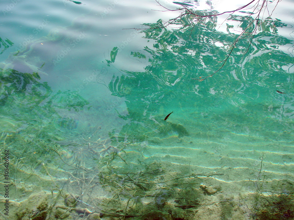 Fototapeta premium It is a pleasure to relax on the shores of a clear mountain lake, and to enjoy the abundance of fish swimming in the shallows in search of food.